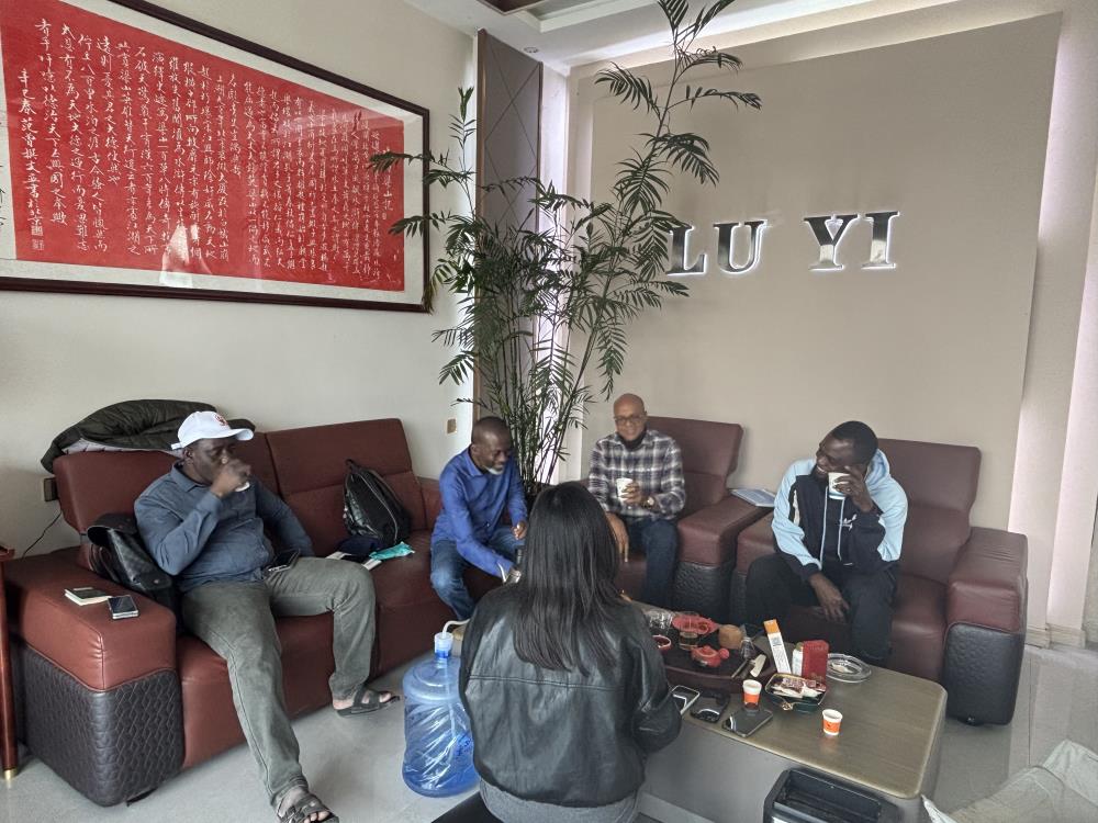 कैसे लुई ऑटो ने एक नाइजीरियाई निर्माण ग्राहक को 12 अनुकूलित 40 टन लोबेड सेमी-ट्रेलरों के साथ भारी उपकरण परिवहन में सुधार करने में मदद की